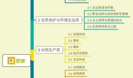 青年雷利爆料视频大全集,青年时代精彩瞬间大盘点