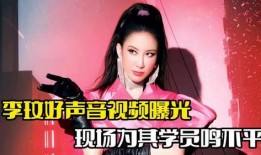 李玟爆料视频合集,揭秘明星幕后故事