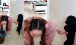 佛妹被人爆料视频,揭秘网络舆论背后的真相