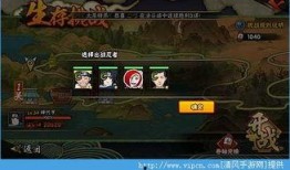 忍者生存最新更新爆料,新版本爆料揭秘，神秘技能与全新挑战即将来袭！