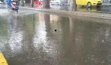 一场大雨爆料视频大全,一场大雨的视觉盛宴