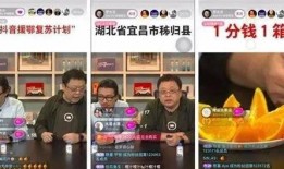 湖北抖音爆料事件真相视频,揭秘背后真相