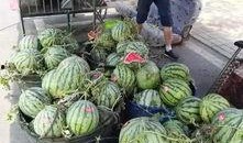 武穴网红事件吃瓜,揭秘网络舆论的风暴与真相