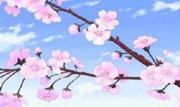 光遇最新桃花季节爆料,探寻神秘桃花源之旅