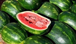 真实还原吃瓜视频大全免费观看