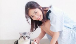 娱乐大爆料谭松韵,揭秘明星幕后故事