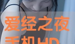 爱经之夜在线观看,一场跨越时空的浪漫邂逅