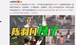 网红爆料田小野视频下载,田小野视频下载引发热议，独家解析幕后真相
