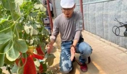 网红吃瓜基地,揭秘娱乐圈幕后风云