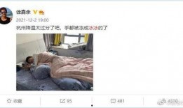 四季最新爆料微博,揭秘娱乐圈最新动态，明星幕后故事大揭秘！”