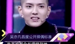 是谁爆料的吴亦凡视频,揭秘背后爆料者的神秘身份