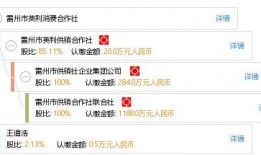 雷州英利最新爆料,揭秘项目进展与未来规划