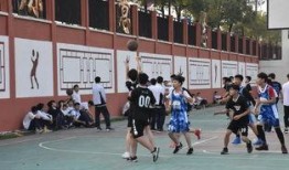 惠州市中学爆料新闻最新,真相揭秘，校园安全再引关注