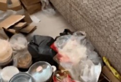 湖北襄阳房东最新爆料,揭秘当地租房市场新动态与价格走势