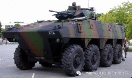法国装甲车爆料了吗视频,揭秘军事装备内部秘密