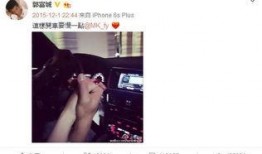 圈内爆料微博网红是谁,微博网红身份曝光，圈内爆料引发热议