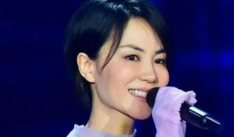 向太谈王菲圈内爆料王菲,王菲的圈内爆料大公开