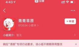 吃瓜鹅娱乐速报京东,打造潮流购物新体验