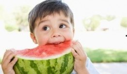 免费吃瓜不收费故事,不收费的奇妙故事之旅