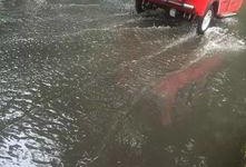 一场大雨爆料视频大全,一场大雨的视觉盛宴