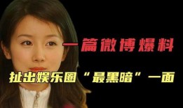 黑暗娱乐圈爆料,幕后真相曝光