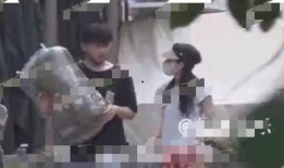 狗仔爆料全集免费观看视频,揭秘娱乐圈幕后真相