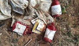 死亡番薯爆料视频,视频爆料背后的惊人真相