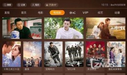 在线电视剧观看网站