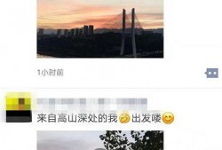 晨光最新爆料视频下载大全,精彩瞬间一网打尽