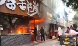 网友爆料餐厅视频播放大全,餐厅视频播放大全，揭秘餐饮行业幕后真相