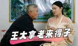乡村爱情九电视剧全集在线观看,重温乡村温馨故事，笑中带泪的农村生活画卷