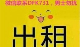 湖北襄阳房东最新爆料,揭秘当地租房市场新动态与价格走势