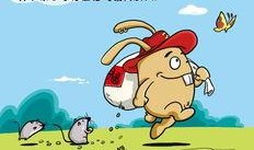 娱乐吃瓜小兔兔小说,小兔兔的吃瓜日常