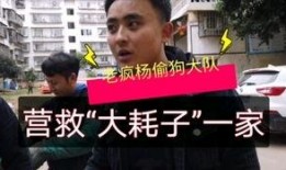 老杨直播最新爆料,最新爆料背后的惊人真相