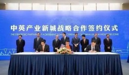 罗定今日关注爆料公司,揭秘爆料公司最新动态