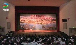 电白陈村新闻最新爆料,揭秘陈村最新发展动态与重大事件