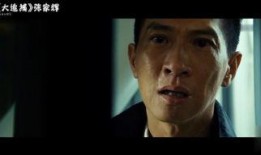 大追捕电视剧在线观看,惊心动魄的逃亡与正义的较量