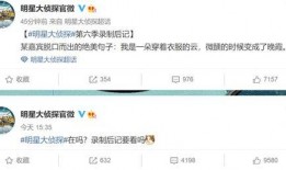 撒贝宁爆料明侦视频,揭秘节目精彩瞬间