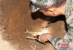 海南工地爆料事件始末最新消息,真相与争议交织的工程风波