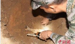 海南工地爆料事件始末最新消息,真相与争议交织的工程风波