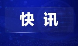 获奖爆料热点新闻视频,热点新闻背后的精彩瞬间