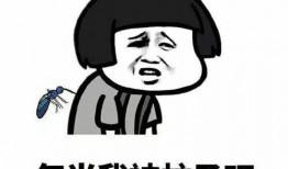 娱乐吃瓜酱艾特你朋友,“娱乐吃瓜酱带你揭秘好友圈里的那些事儿”