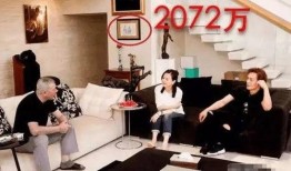 爆料冯小刚住宅视频在线观看,揭秘明星豪宅生活