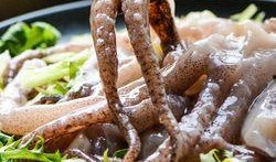 鱿鱼最新爆料视频大全图片,视频大全图片揭秘幕后真相