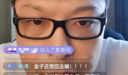 刘云天直播爆料了吗视频,爆料视频背后的真相与内幕