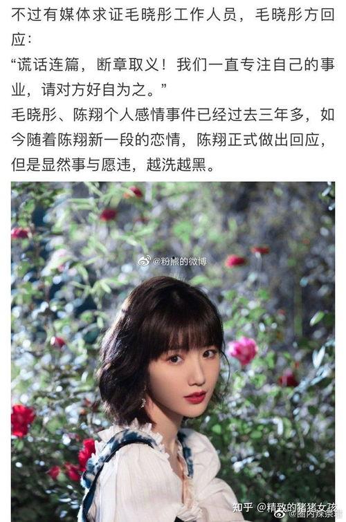 娱乐圈吃瓜说的科学是什么意思,揭秘娱乐圈背后的真相与规律